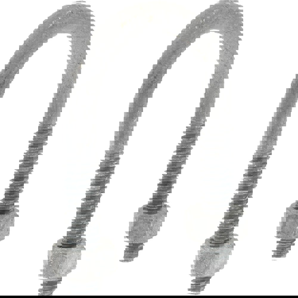 Round U-Bolt: Without Mount Plate, 1/4-20 UNC, 1